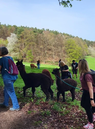 Tour mit Ausblick über Eisenbach und Obernburg