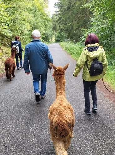 Tour Bubenbrunnen auf festem Weg