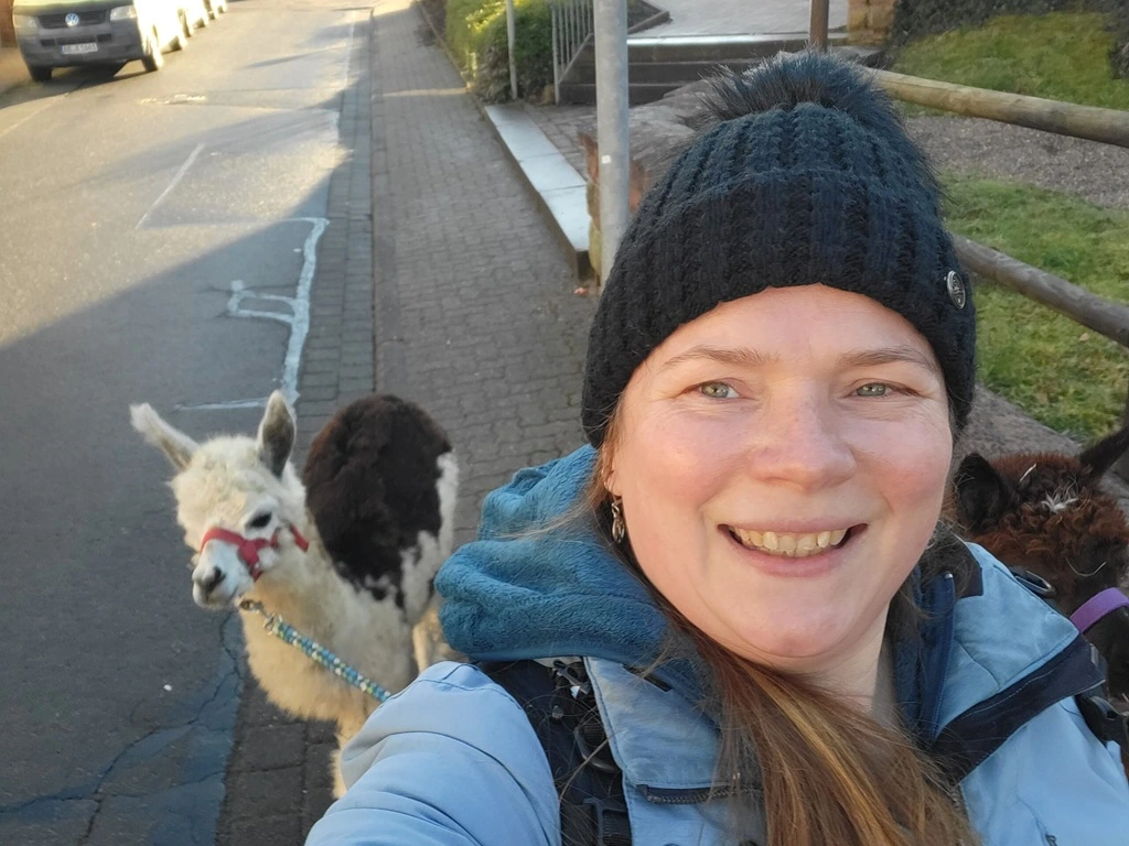 Mit Alpakas durch Eisenbach bei Obernburg