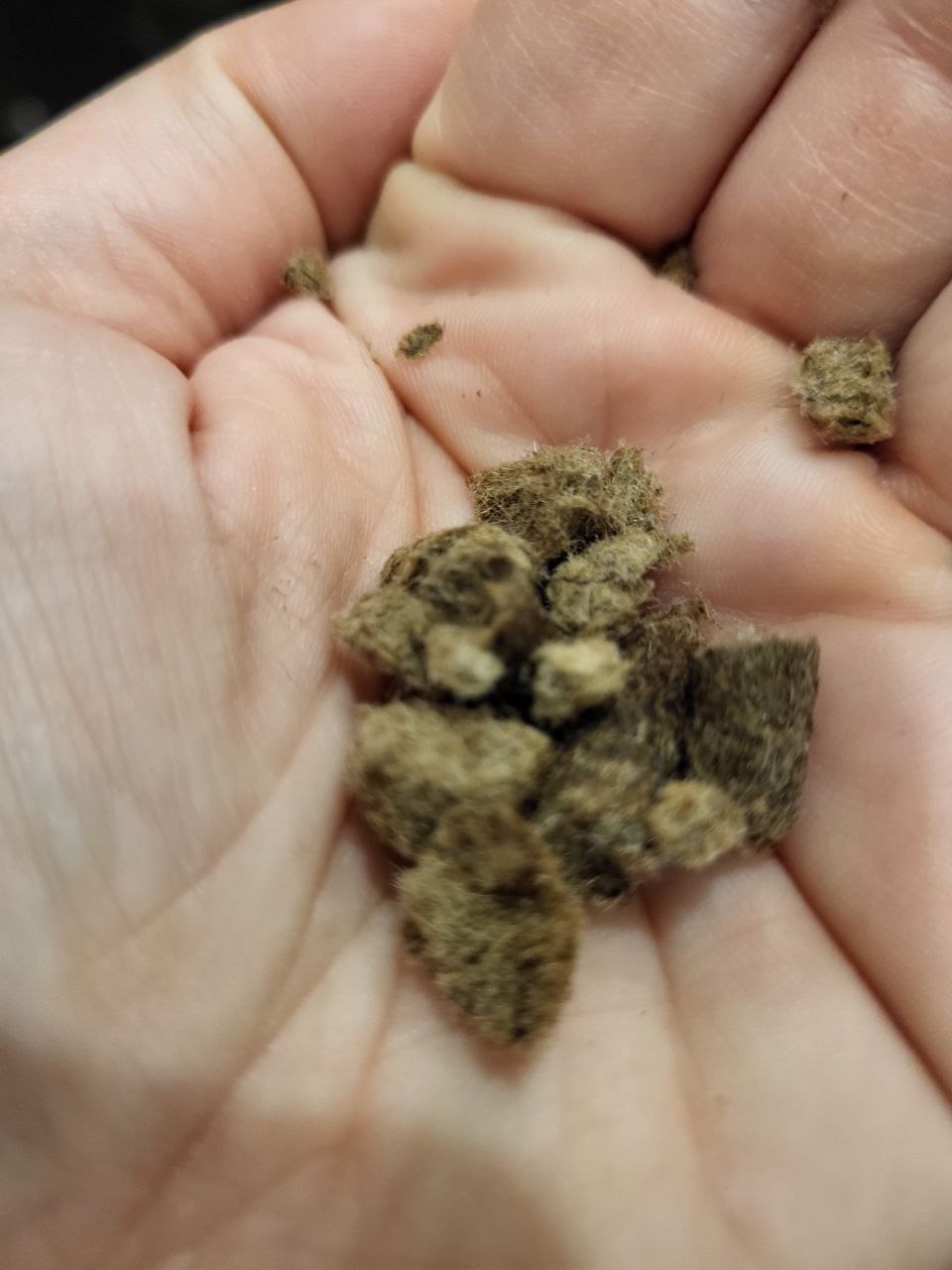 Alpaka Wollpellets Dünger – Bild 2